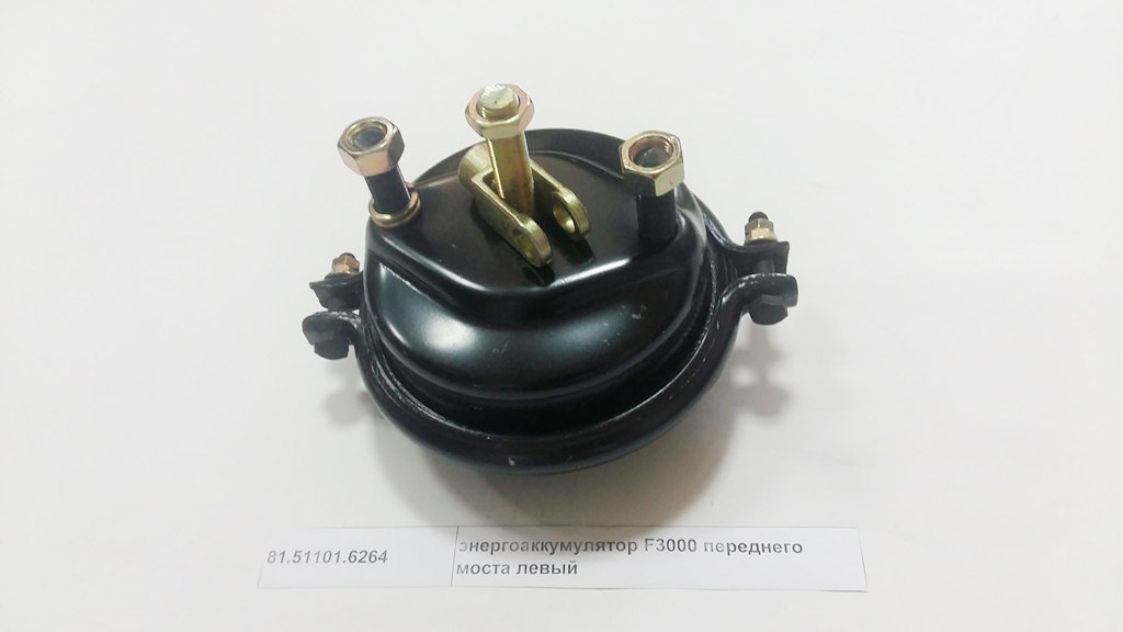 Энергоаккумулятор передний левый F3000 SHAANXI 81.51101.6264