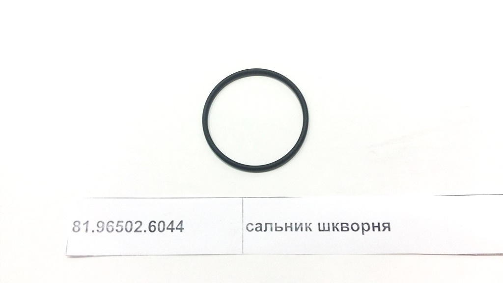 Сальник шкворня SHAANXI 81.96502.6044